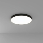 Потолочный светильник Arte Lamp FADO A6699PL-1BK