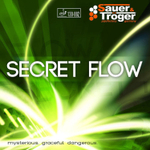 SAUER & TROGER Secret Flow