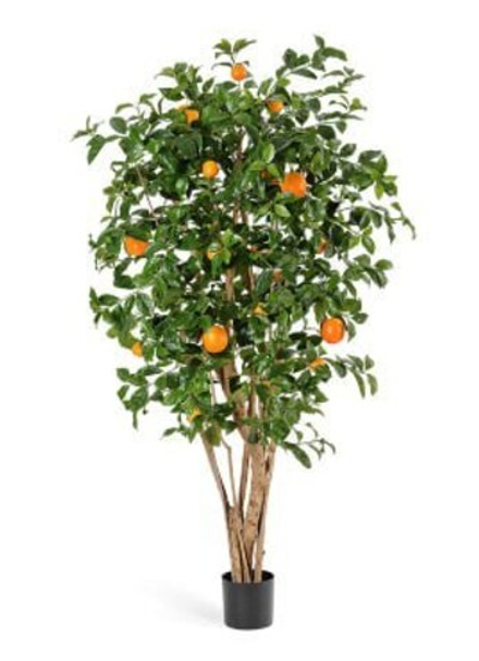 Апельсиновое дерево с плодами, в-180 см