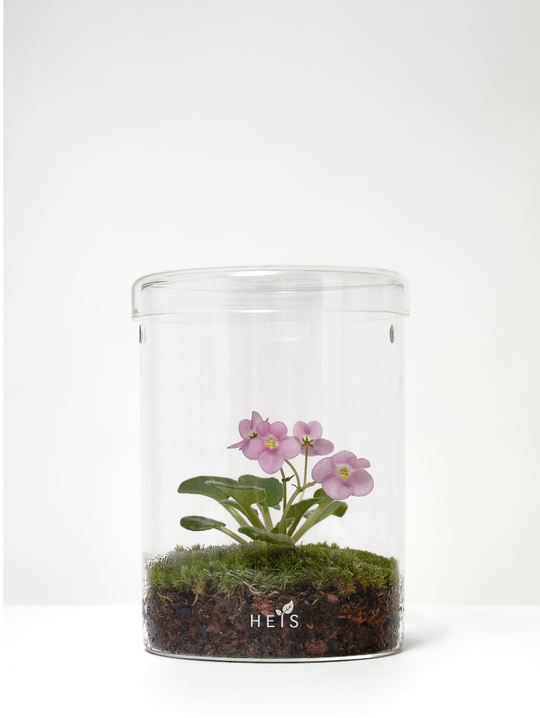 Экосистема мини Heis