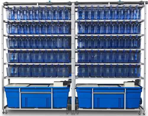 Стеллажи для содержания рыб (ZEBTec Multilinking)