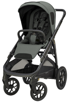 Прогулочная коляска Inglesina Aptica XT 2025 Taiga Green