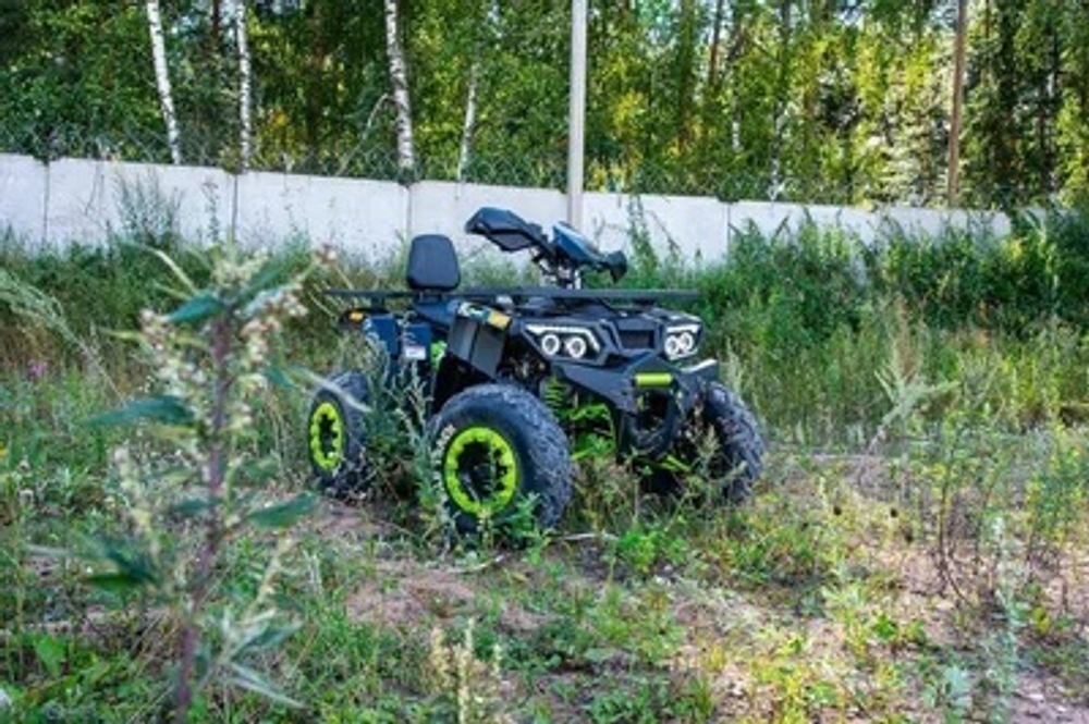 Квадроцикл MOTOLAND 200 WILD TRACK LUX ( БАЛАНС. ВАЛ) (2021 Г.)