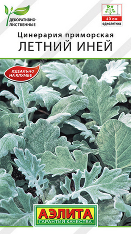 Цинepapия пpимopcкaя "G. Летний Иней " 0,1г., Россия.