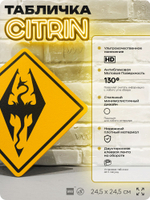 Табличка декоративная "Скайрим, Skyrim" на дверь и стену, прикольная штука в подарок геймеру, декоративный знак, 24,5х24,5 см, Айдентика Технолоджи