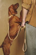 Поводок "Кантри-Пони" Бежевый