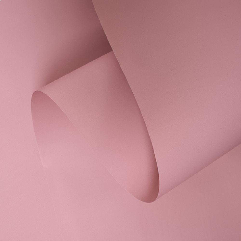 ЛИСТ ПЛОТНЫЙ ФЛОРАНС 58*58/20шт ПУДРА