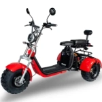 Электроскутер CityCoco Trike Minako REX 3000W Черный