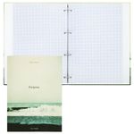 Тетрадь на кольцах БОЛЬШАЯ А4, 215х305 мм, 100 л., твердый картон, клетка, BRAUBERG, "Nature", 405411