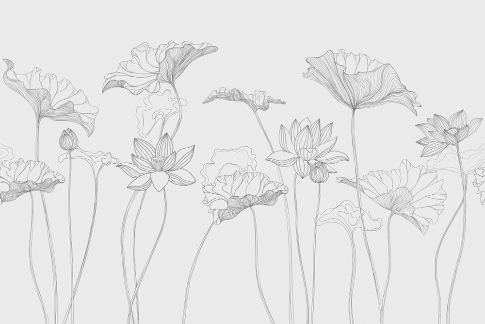 Коллекция Line art