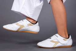 Степки для тхэквондо ProfSport Style Gold