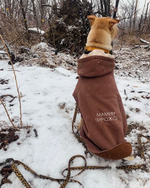 Поводок для собак из биотана 20 мм для собак средних и мелких пород леопард 20 мм, 7 м Yki too