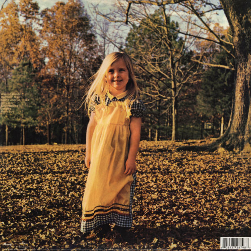The Allman Brothers Band / Brothers And Sisters (LP)