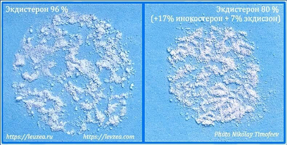 Экдистерон 96% очищенный - фото