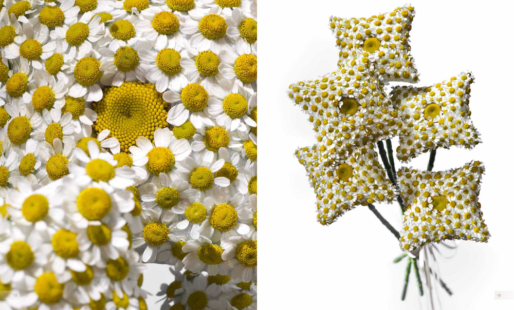 International Floral Art 2010/2011