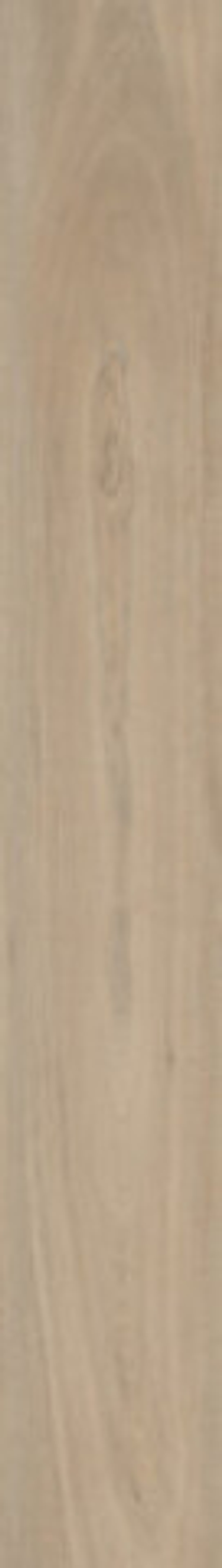 Керамогранит Lignum-R Mellow R10