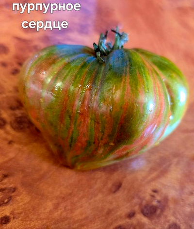 ГНОМ ПУРПУРНОЕ СЕРДЦЕ