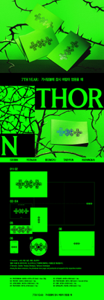 Альбом TXT - 7TH YEAR: A Moment of Stillness in the Thorns (THORN Ver.)