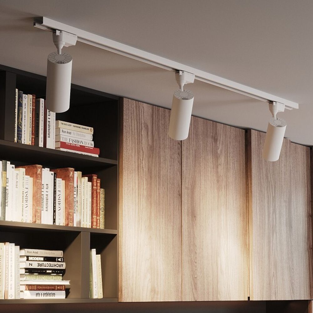 Светильник на штанге Gauss TR TR064