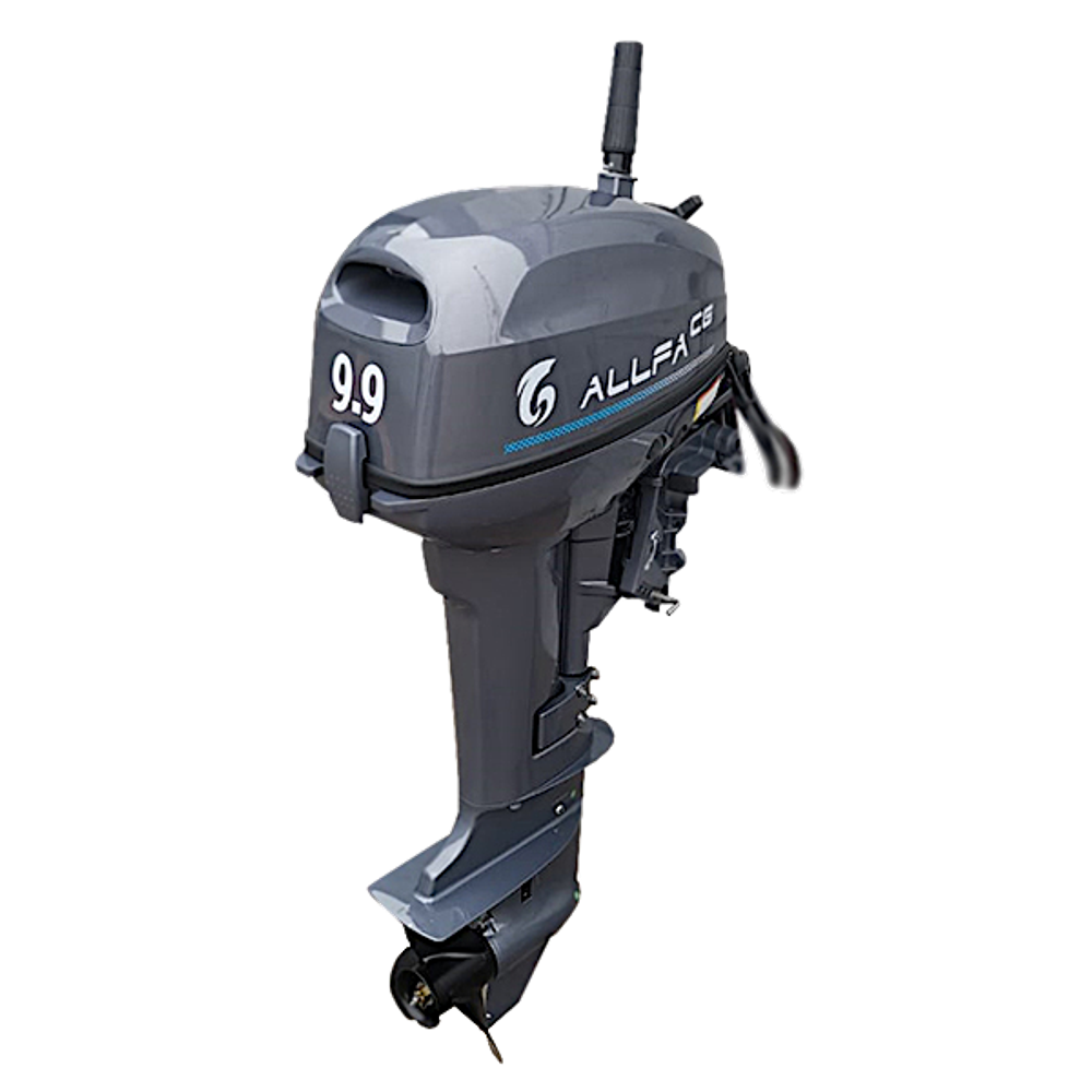 Лодочный мотор ALLFA CG T9.9(20)MAX BWS Лимит серия