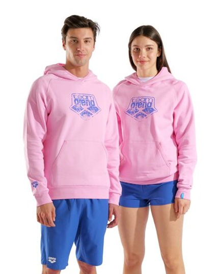 Толстовка HOODED SWEAT ARENA LOGO