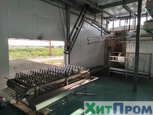 Конвейерная линия ритуального убоя МРС с автоматизацией съёма шкуры 1000 голов/смена