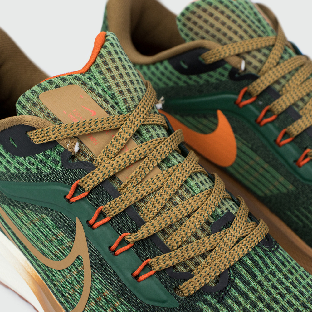 Кроссовки Nike Air Zoom Pegasus 39 Green Brown