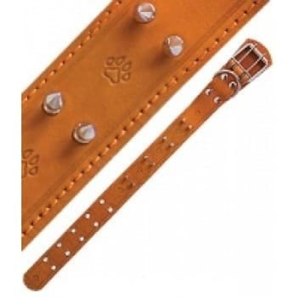 ОШЕЙНИК "BUDDY" 45мм КОЖА ШИПОВАННЫЙ КОР. 46-64см 20402 ОШЕЙНИК "BUDDY" 45мм КОЖА ШИПОВАННЫЙ КОР. 46-64см 20402