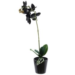 GAEM Цветочная композиция, L W H45 см