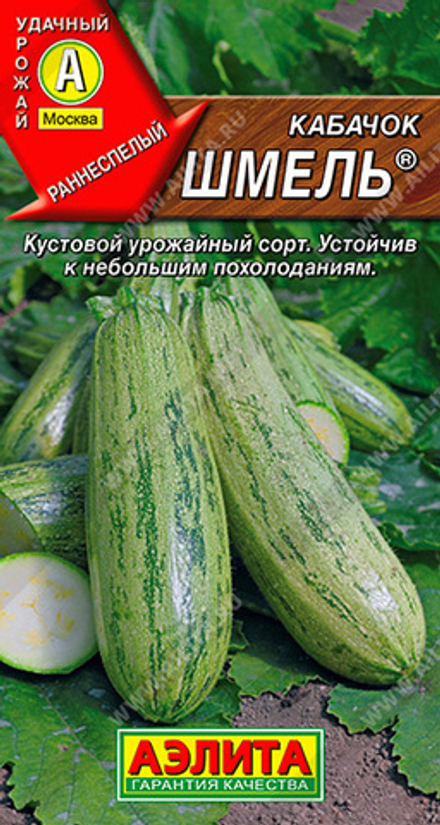 Кабачок Шмель цуккини 1гр Аэлита
