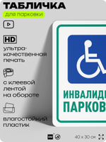 Табличка для парковки "Инвалидная парковка", для дома, офиса, организаций, 40х30 см, Silver Plane x Айдентика Технолоджи