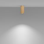 Потолочный светильник Technical C036CL-01G