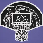 Худи TNDMTND BALLER Фиолетовый