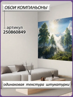 3D Фотообои утренний лес в тумане