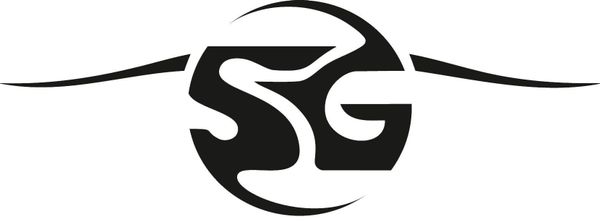 История создания бренда SG SNOWBOARDS