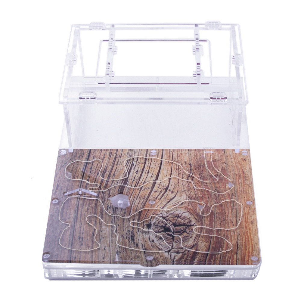 Муравьиная ферма Antrum L