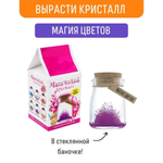 Магический кристалл