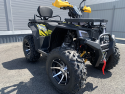 Квадроцикл PROMAX TAURUS 300 MAX-PRO