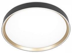 Накладной светильник Citilux BOSS CL751451G