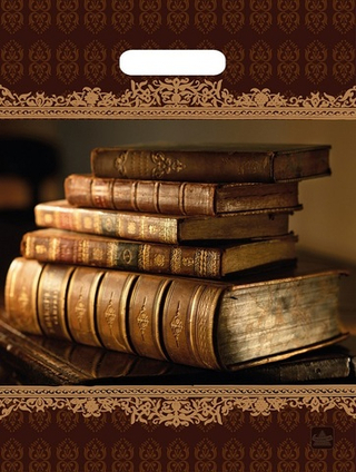 Пакет ВУР 31*40см /60 мкм Книги  NEW /1 шт