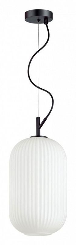 Подвесной светильник Odeon Light Roofi 4751/1