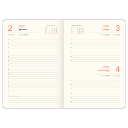 Ежедневник датированный 2026г., А5, 176л., твердый переплет, кожзам, BG "Horse. Pearl", цветной срез, с резинкой, карман DdА5_09395