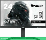 Игровой монитор Iiyama G-Master Black Hawk GB2445HSU-B1