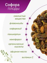 Софора плоды