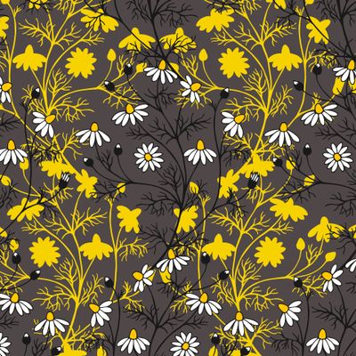 Little daisies seamless pattern.
