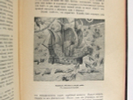 "Человек и Земля". Элизе Реклю. 1909 г.