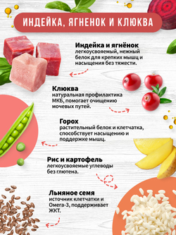 Airi turkey, lamb and cranberry. Индейка, ягненок и клюква