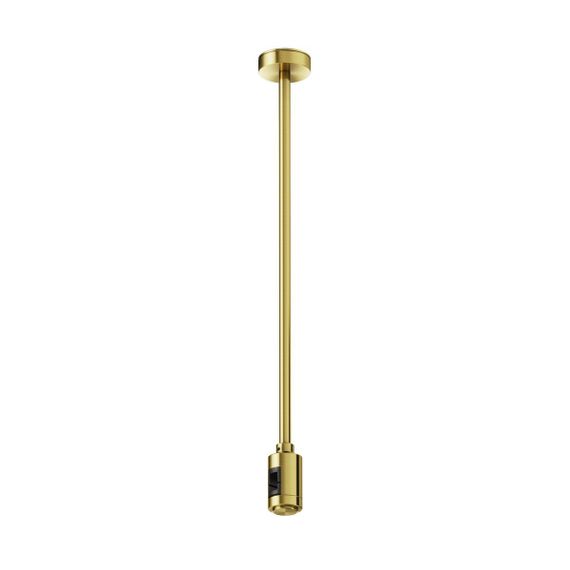 Крепление потолочное с вводом питания Maytoni Flarity TRA158C-BL1-BS