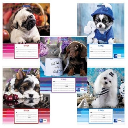 Тетрадь 24л, линия, Brauberg Забавные щенки