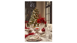 Набор тарелок обеденных 4шт 27см Mix&Match Home Счастливая Звезда